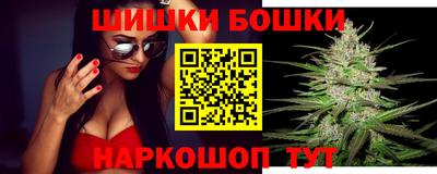 МДПВ Будённовск