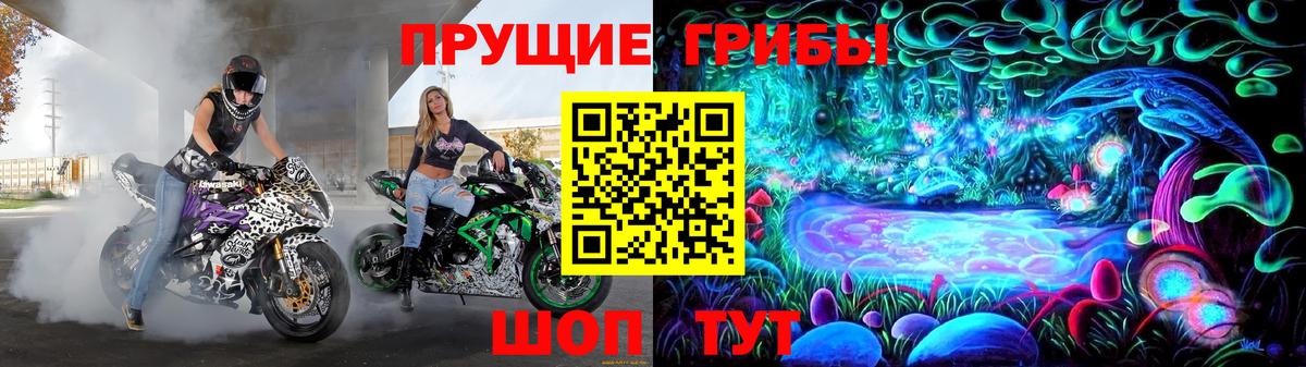 Псилоцибиновые грибы Cubensis  Вход с VPN  Ржев 